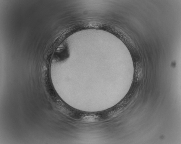 X0000116580595201001211306
