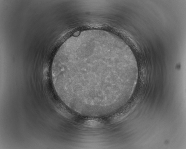 X0000116580596201001211306
