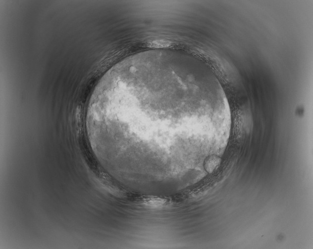X0000116580598201001211306