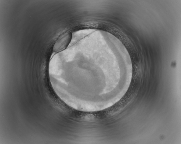 X0000116580600201001211306