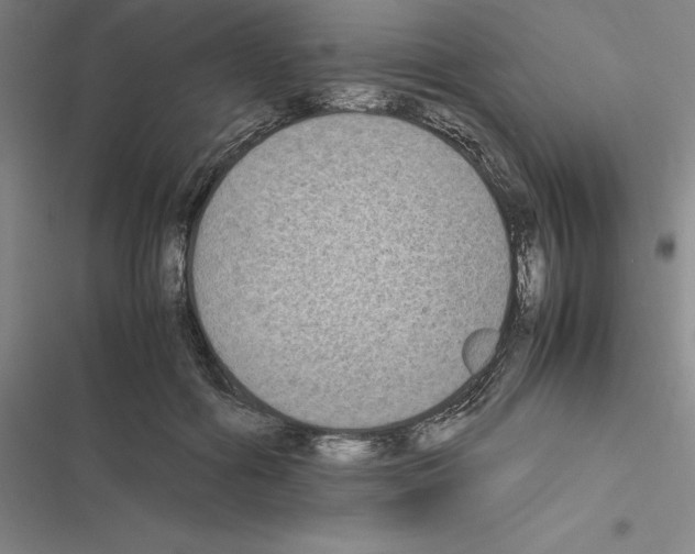 X0000116580602201001211306