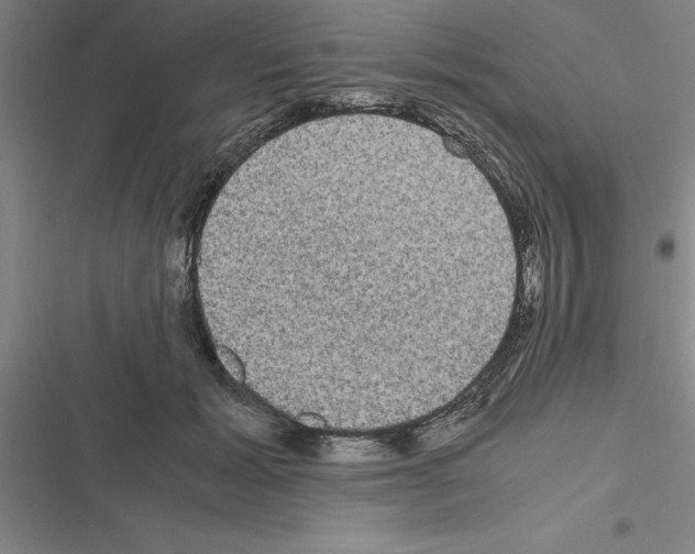 X0000116580605201001211306