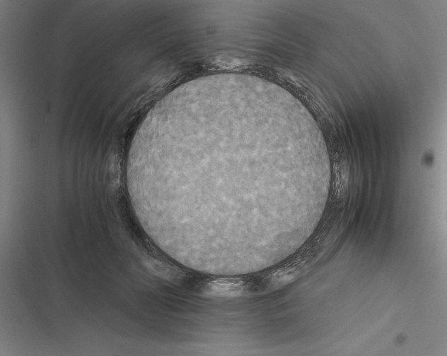 X0000116580606201001211306