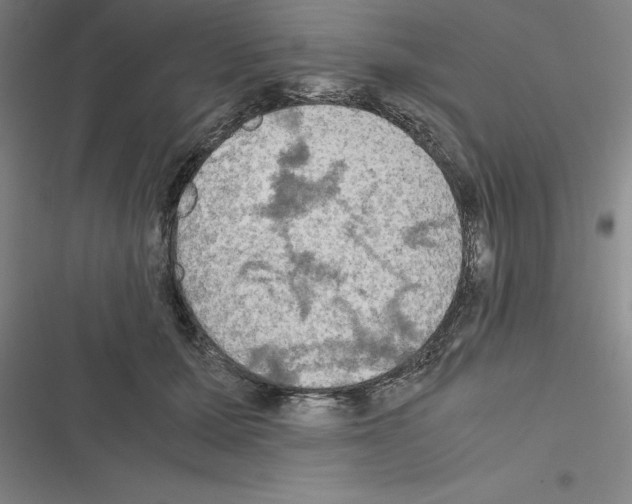 X0000116580607201001211306
