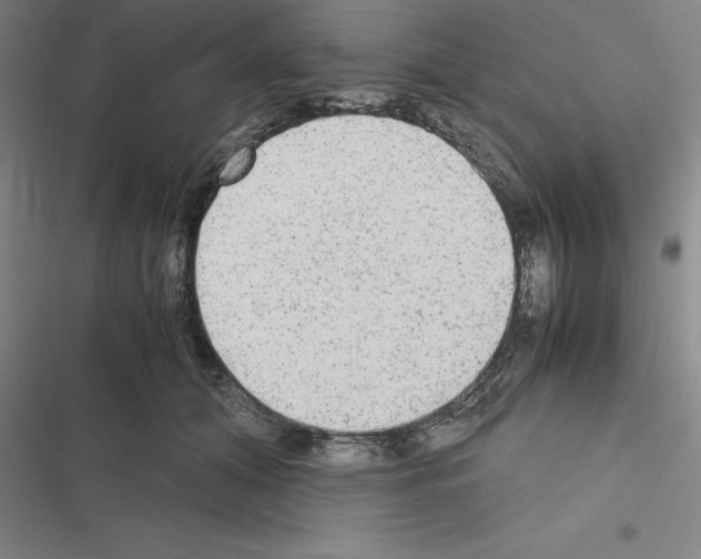 X0000116580608201001211306