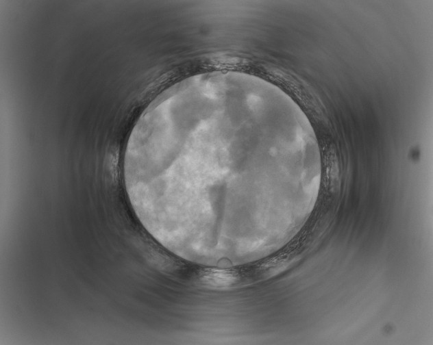 X0000116580610201001211306