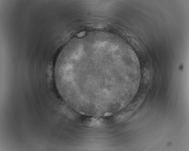 X0000116580612201001211306