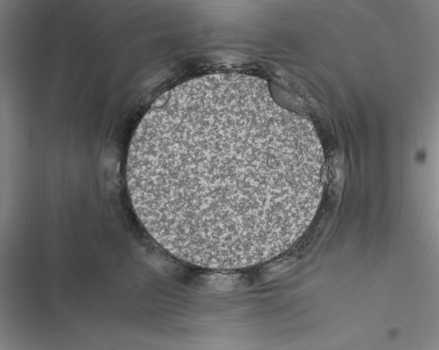 X0000116580615201001211306