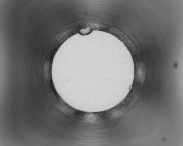 X0000116580616201001211306