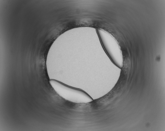 X0000116580617201001211306