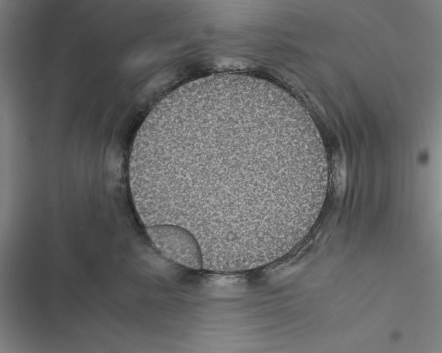 X0000116580619201001211306