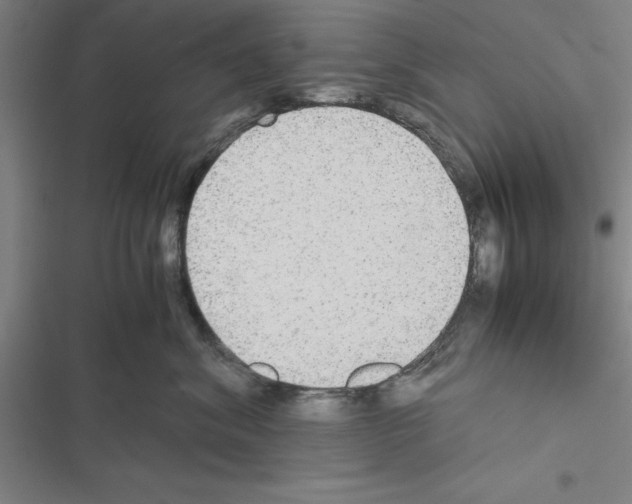 X0000116580620201001211306