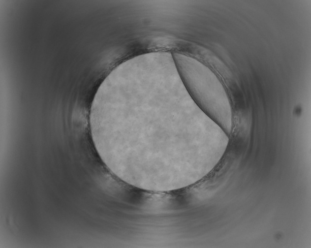 X0000116580621201001211306