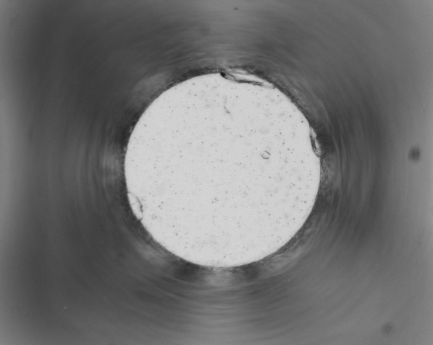 X0000116580623201001211306