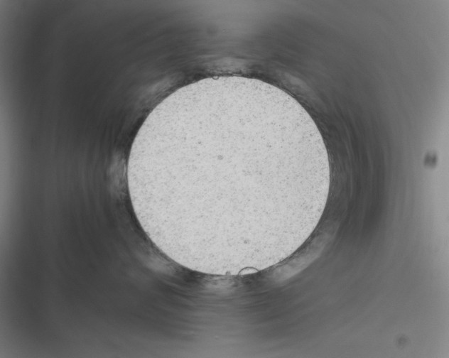 X0000116580624201001211306