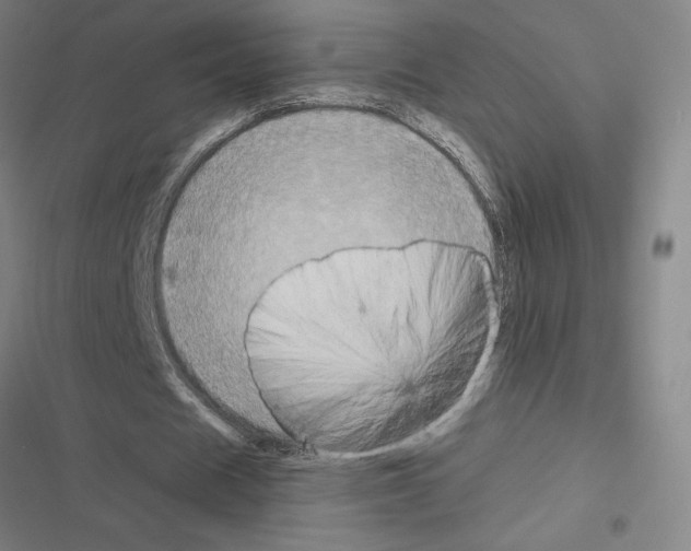 X0000116580625201001211305