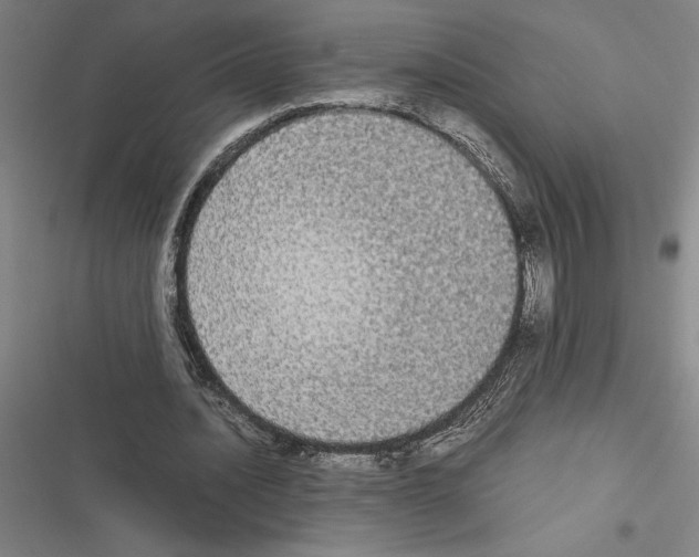 X0000116580628201001211305