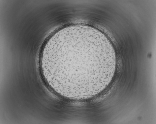 X0000116580629201001211305