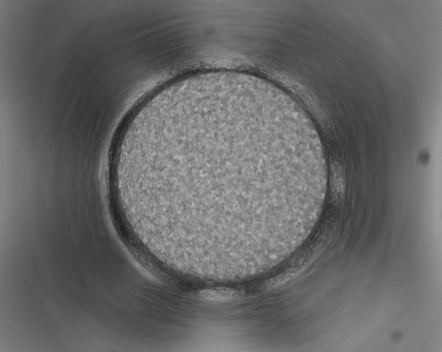 X0000116580630201001211305