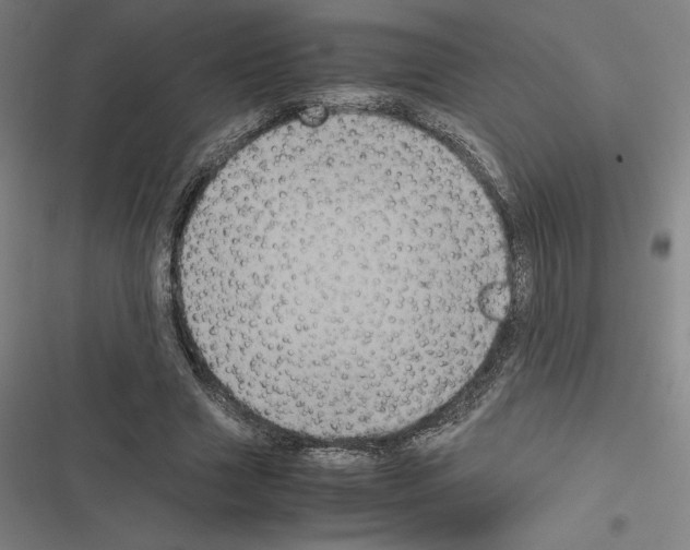X0000116580633201001211305