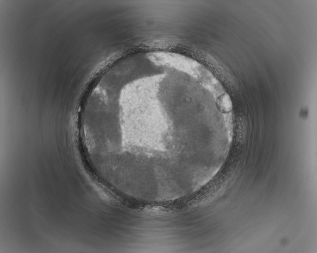 X0000116580634201001211305