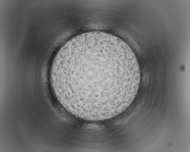 X0000116580635201001211305