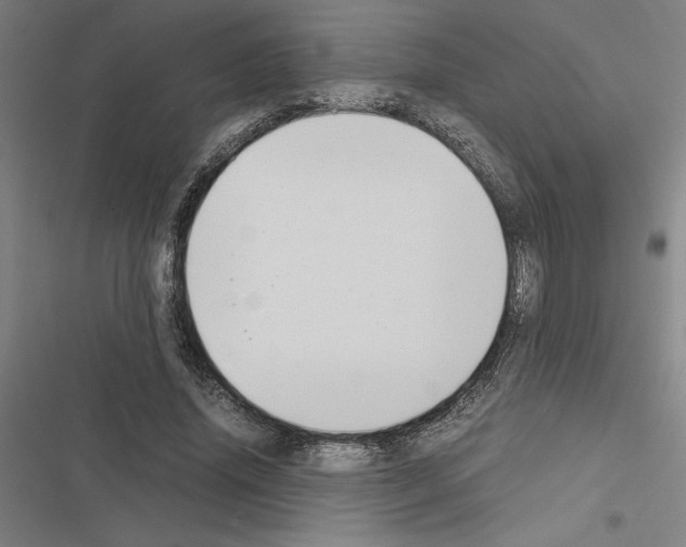 X0000116580636201001211305