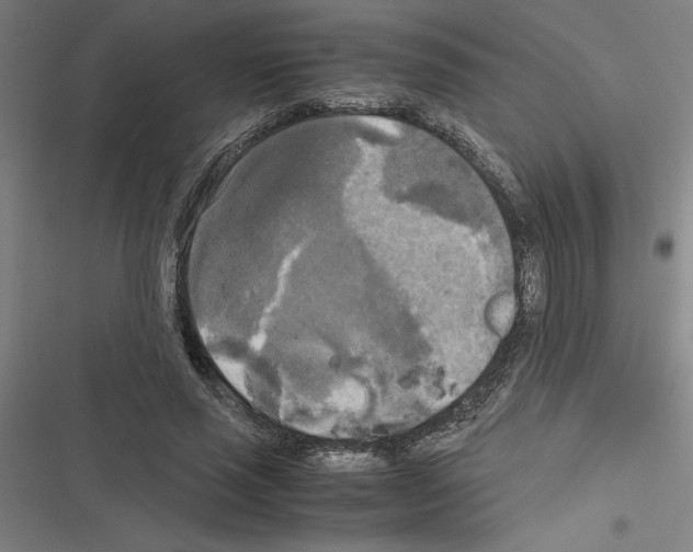 X0000116580637201001211305