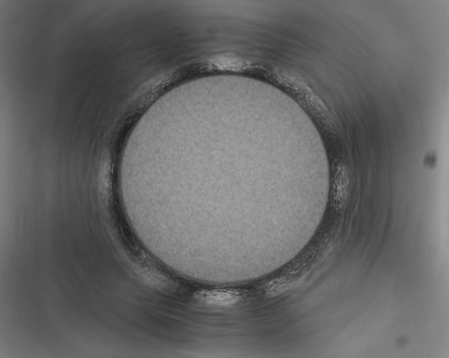 X0000116580639201001211305