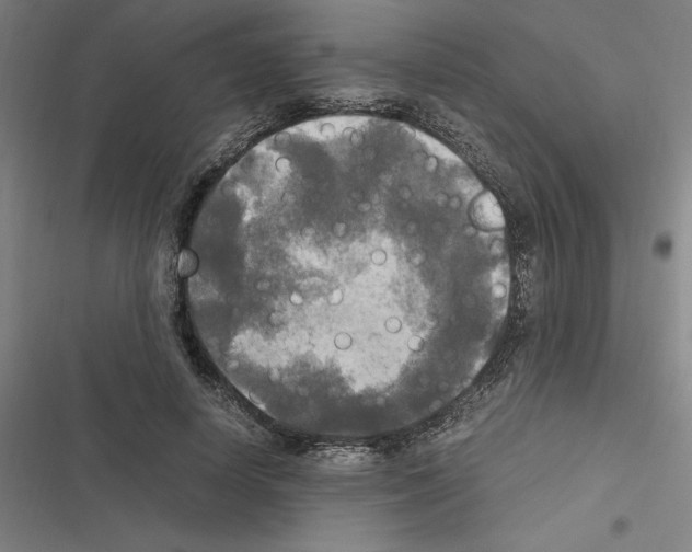 X0000116580642201001211305