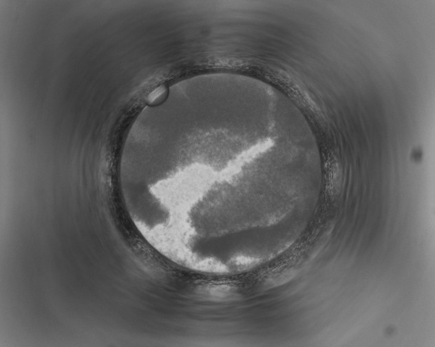 X0000116580643201001211305