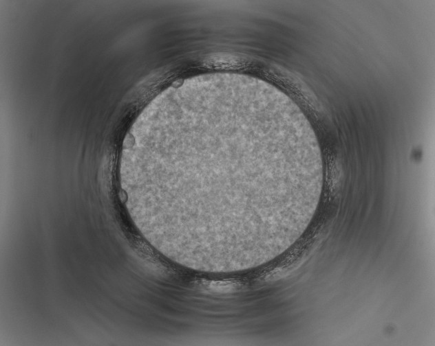 X0000116580645201001211305