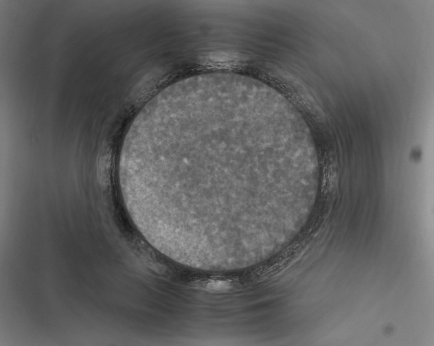 X0000116580647201001211305