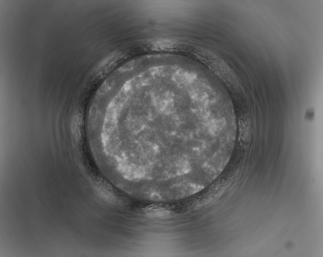 X0000116580648201001211305
