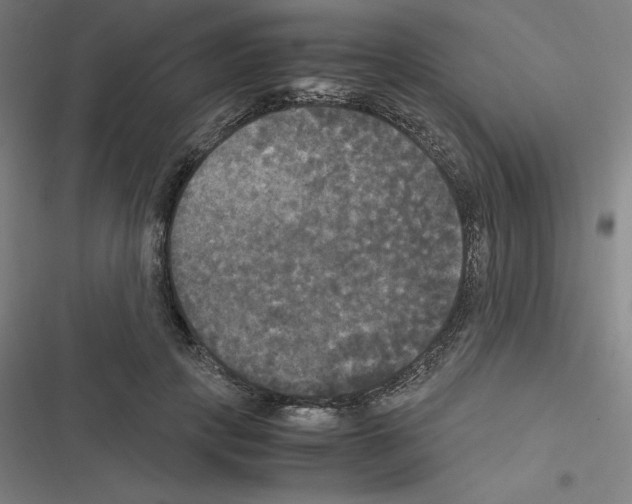 X0000116580649201001211305