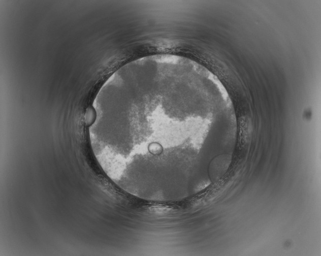 X0000116580650201001211305