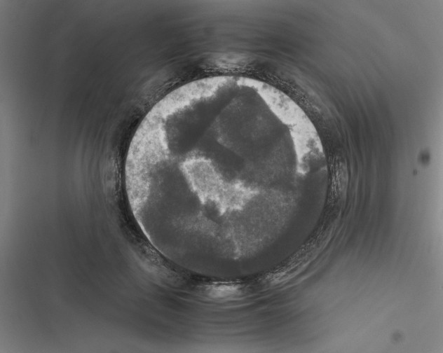 X0000116580651201001211305