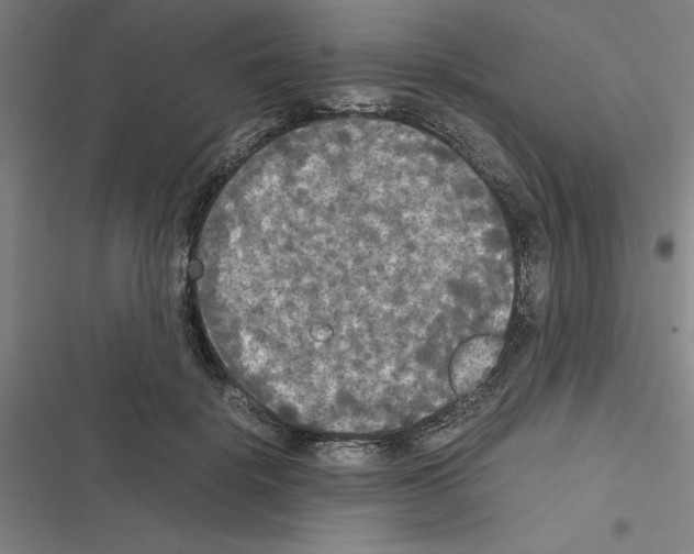 X0000116580652201001211305