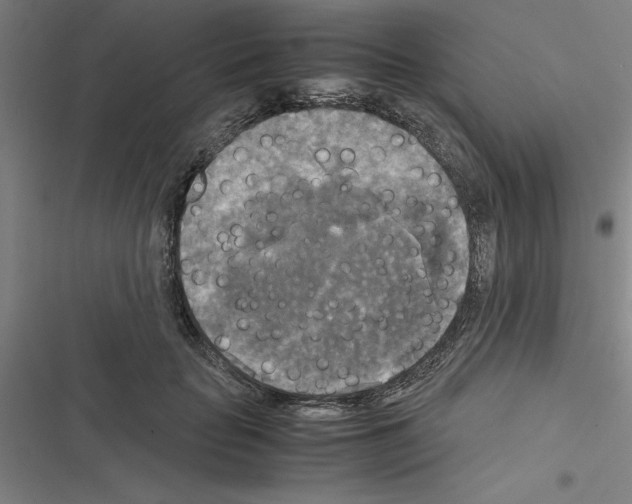 X0000116580653201001211305