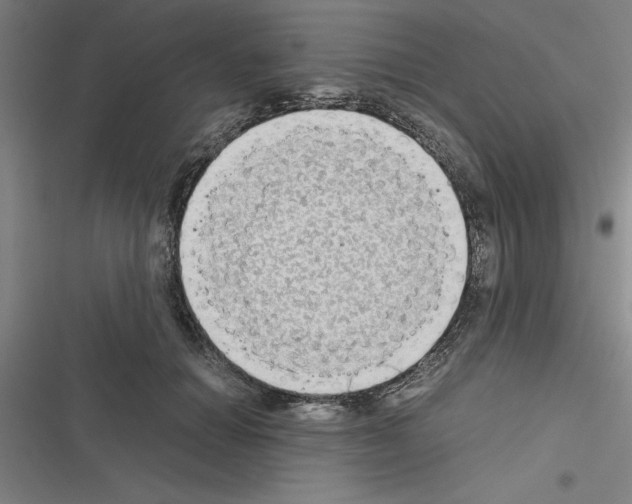 X0000116580654201001211305