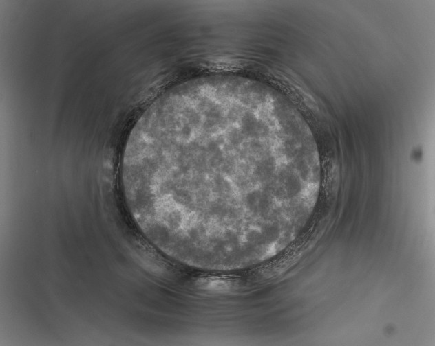 X0000116580655201001211305