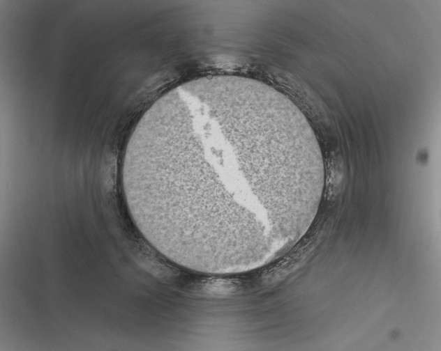 X0000116580656201001211305