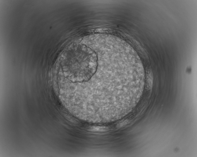 X0000116580657201001211305