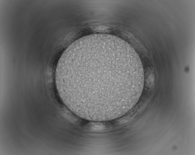X0000116580658201001211305