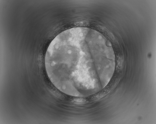 X0000116580659201001211305