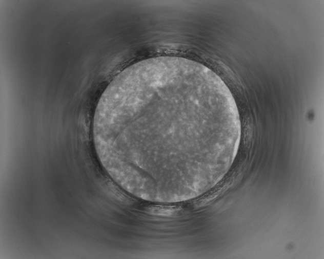 X0000116580661201001211306