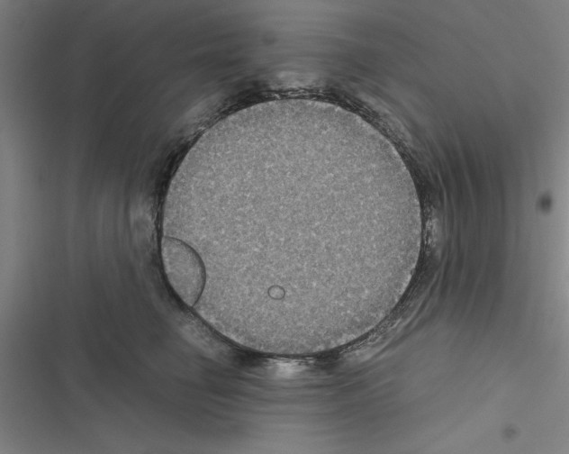 X0000116580662201001211306