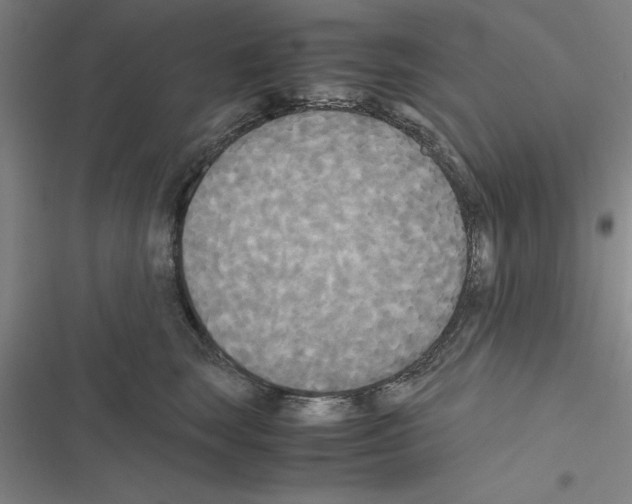 X0000116580663201001211306