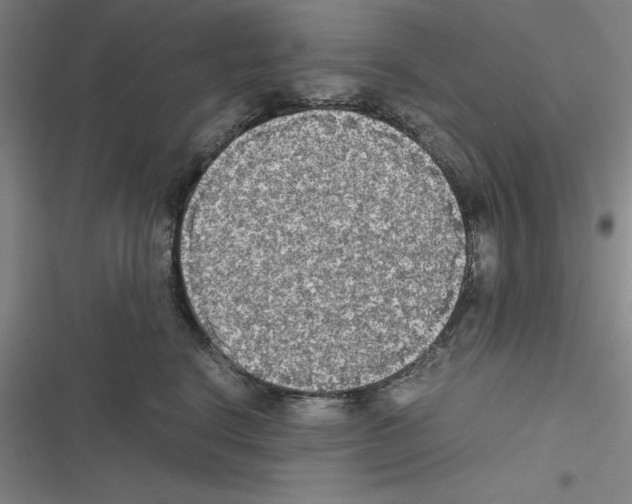 X0000116580664201001211306