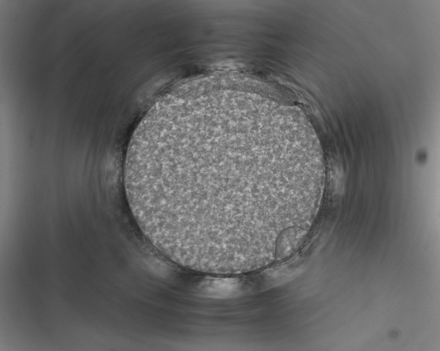 X0000116580665201001211306